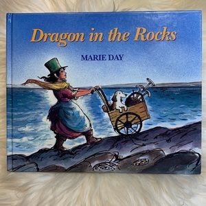 ☄️2/$15☄️Dragon and the rocks hard cover by Marie Day